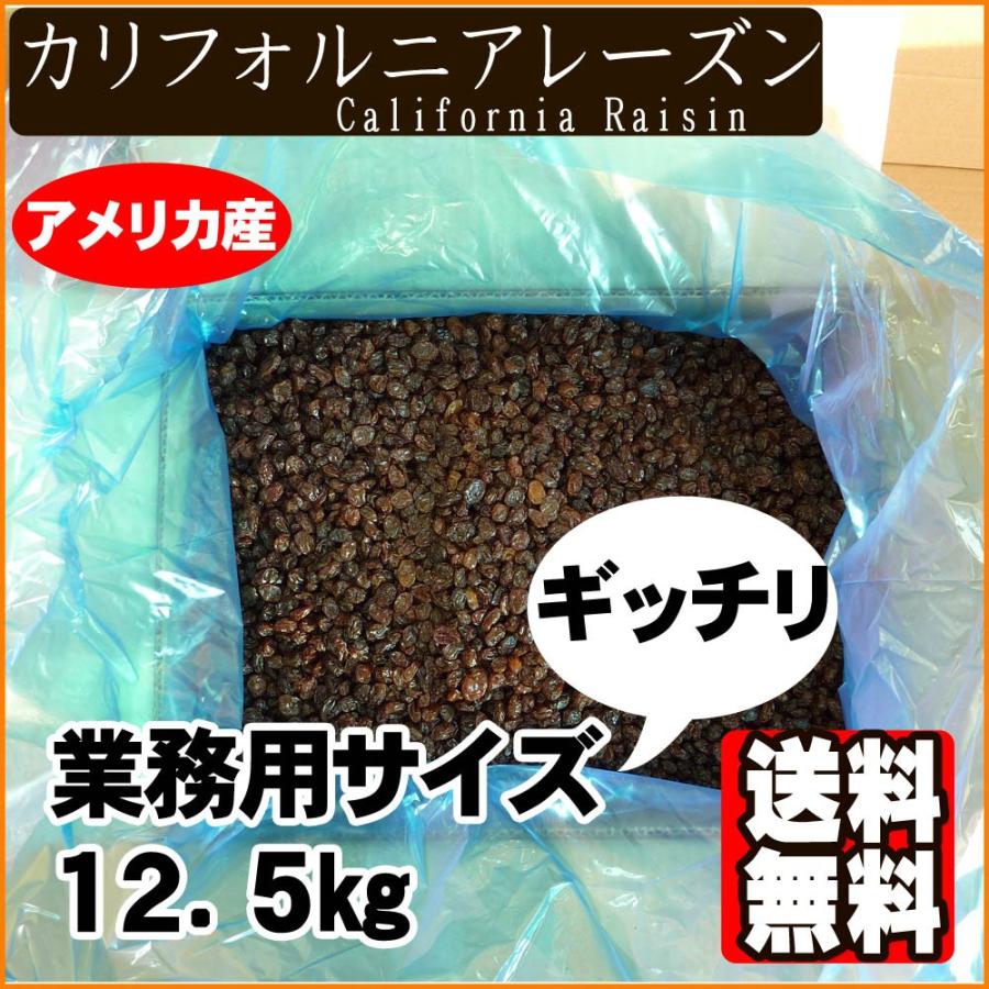 業務用カリフォルニアレーズン1箱12.5kgオイルコートあり 送料無料