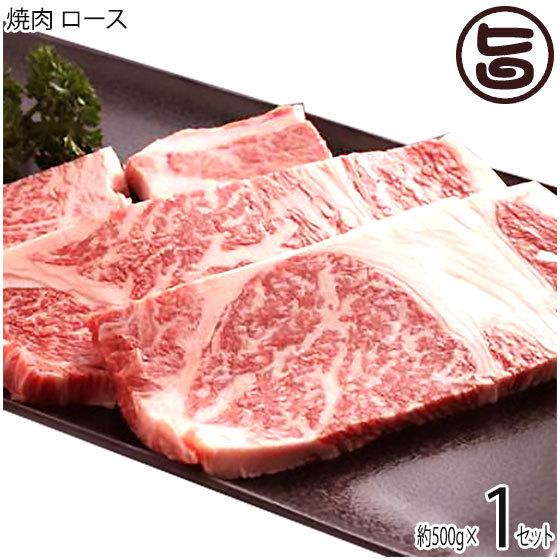 ギフト 神戸ビーフ 贈答用 焼肉 ロース 500g 嶋本食品 手土産 贈り物