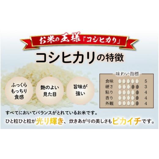 ふるさと納税 福井県 大野市 福井県大野市産 JGAP認証 コシヒカリ「あかね」5kg（2.5kg×2）小分け