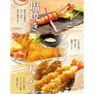 ふるさと納税 紀州和歌山産天然足赤えび540g×2箱（270g×4パック）　化粧箱入 和歌山県九度山町