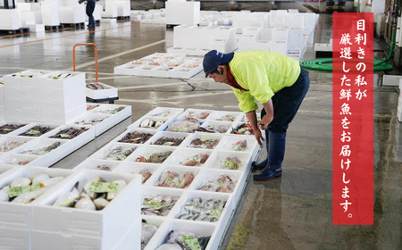 日本海直送 鮮魚ボックス 旬の魚詰め合せ 魚のプロが選んだ厳選魚 新潟 糸魚川 能生漁港から朝獲れ新鮮な魚をお届け 生 (国産 天然 海鮮 お刺身 魚介類セット 鮮魚BOX 便利 簡単 お手軽 高級) 魚正