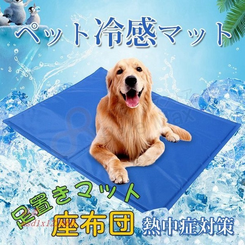 ○手数料無料!! 犬マット 犬マット夏用 犬マット冷感 犬マット防水 犬マット洗える ねこ うさぎ クールシート ブラウンM broadcastrf.com ○手数料無料!! 犬マット 犬マット夏用 犬マット冷感 犬マット防水 犬マット洗える ねこ うさぎ クールシート ブラウンM broadcastrf.com