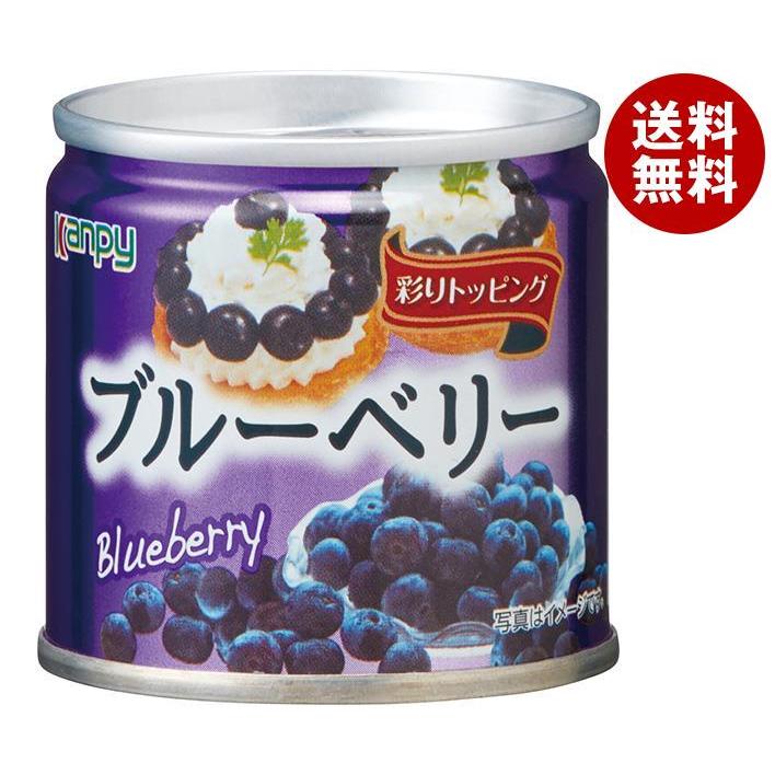 カンピー ブルーべリー 85g缶×24個入｜ 送料無料