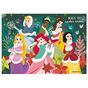 百耘圖 - Disney Princess公主(13) 108片拼圖 HPD0108-272