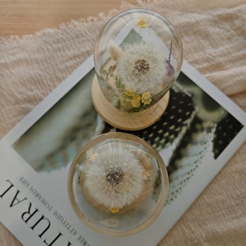 原色蒲公英永生玻璃罩 – 永生蒲公英 | 花禮