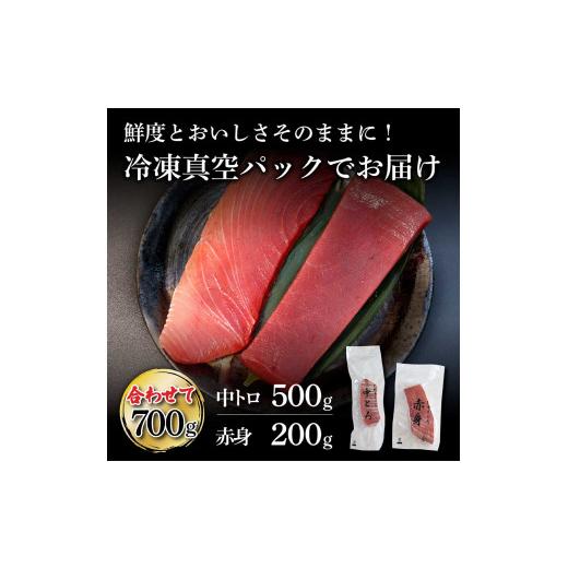 ふるさと納税 高知県 土佐市 天然本鮪 中トロ500g・赤身200g 合せて700g 赤身と中トロのセット