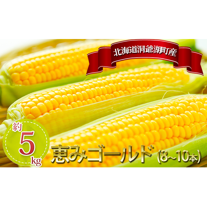 北海道産 とうもろこし 恵味 ゴールド 2L 10本 朝採り めぐみ 玉蜀黍 コーン スイートコーン とうきび 大きめ 甘い 新鮮 旬 もぎたて 産地直送