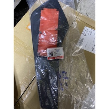 空氣濾網（彪虎200）
