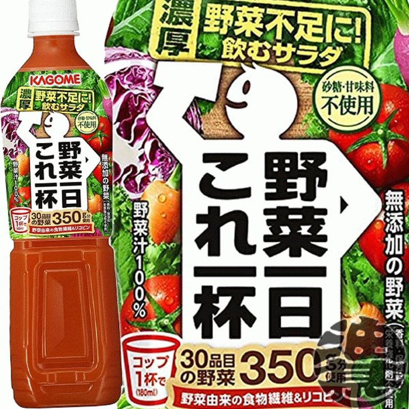 2022新作 740g 伊藤園 1箱 エコボトル 野菜ジュース 15本入 充実野菜 理想の