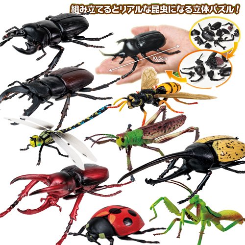 10体セット 超リアル ビッグ 昆虫 4d パズル フィギュア 甲虫 ヒラタクワガタ カブトムシ クワガタムシ クワガタ 模型 子ども おもちゃ 通販 Lineポイント最大0 5 Get Lineショッピング