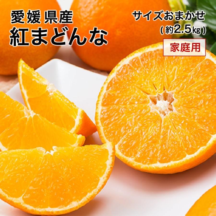 (12月中旬頃より順次発送) 2023 愛媛県産 紅まどんな 約2.5kg 大きさおまかせ 家庭用 訳あり みかん ミカン