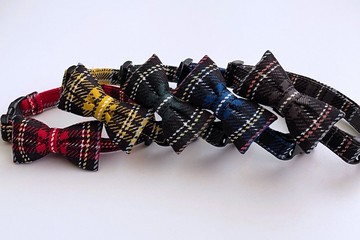 蘇格蘭格紋蝴蝶結領子 5色