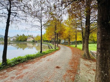 員山好森林全新獨棟農舍｜宜蘭縣員山鄉大湖七路