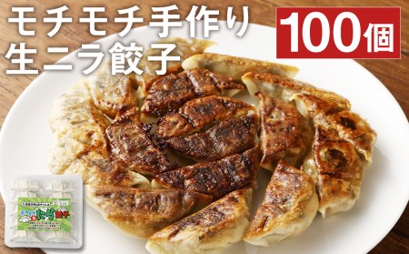 こだわりの手作り ニラ餃子 (冷凍)100個 計2.4kg（10個入×10パック）タレ付