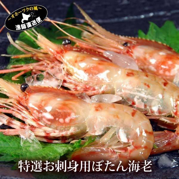 ボタンエビ 特大サイズ 500g （1パック約8-10尾前後） ぼたんえび ボタン海老 ボタン海老 刺し身 父の日