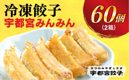 　餃子30個入り×2箱