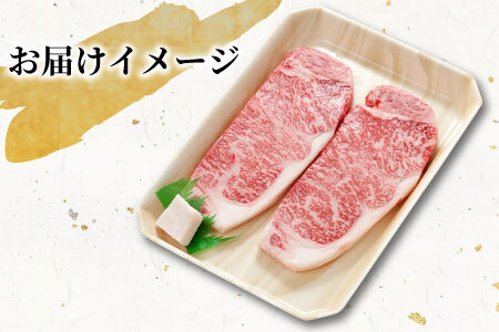 飛騨牛 ロースステーキ 400g 200g×2枚 牛肉 25000円