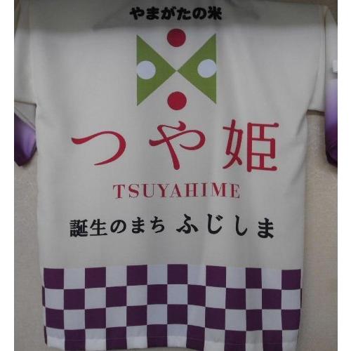 令和3年産 新米 「つや姫」発祥の地 鶴岡市 藤島 より直送 特別栽培 「つや姫」 白米 2kg