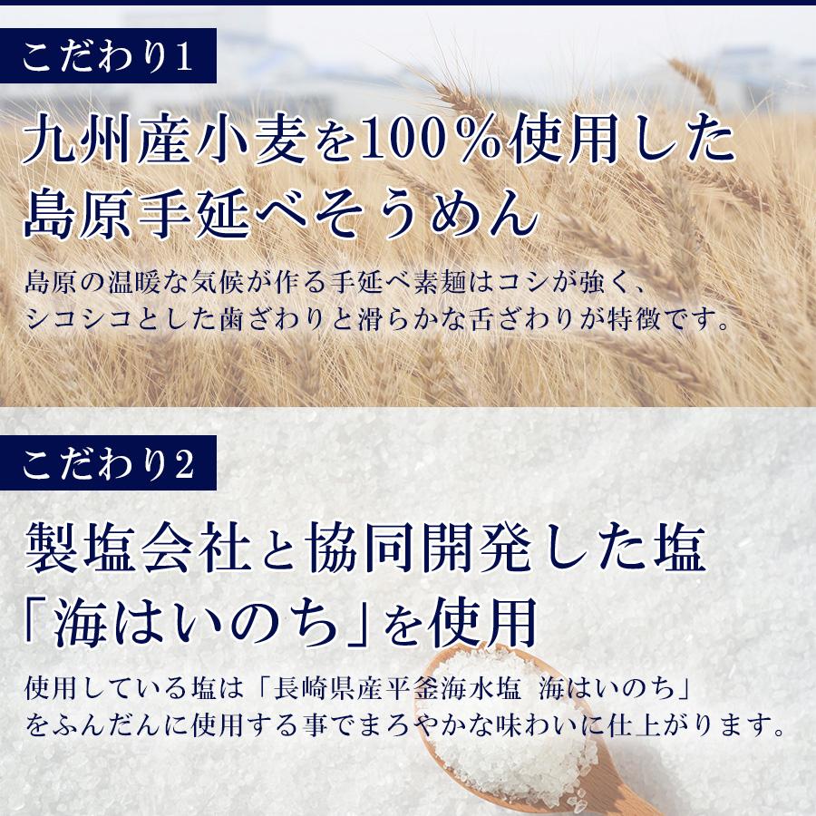 にゅうめん 4種類計16食詰め合わせセット みそ半 国産小麦麺 島原 手延べ そうめん