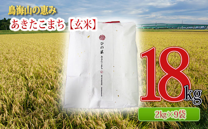 秋田県産 あきたこまち 玄米 18kg（2kg×9袋）神宿る里の米「ひの米」（お米 小分け）