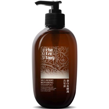 【茶籽堂】桑白皮修護洗髮露(500ml)染燙受損髮適用**效期2028.01.