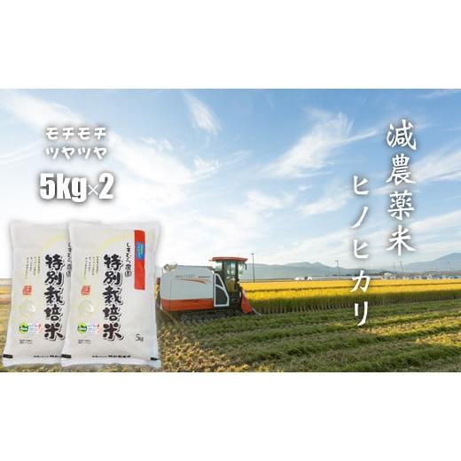 ふるさと納税 佐賀県 小城市 もっちり艶々「減農薬米」ひのひかり（5kg×2袋）しもむら農園　令和5年度産