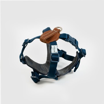 Explore︱胸背帶 - 藍