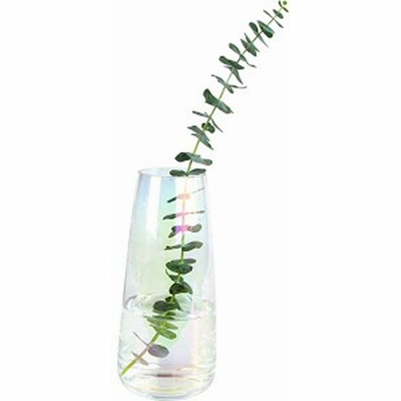 ガラス花瓶 フラワーベース おしゃれ 花器 北欧風 透明 大きい シンプル インテリア飾り ギフト 花びん 虹色 水耕栽培 生け花 造 通販 Lineポイント最大4 0 Get Lineショッピング