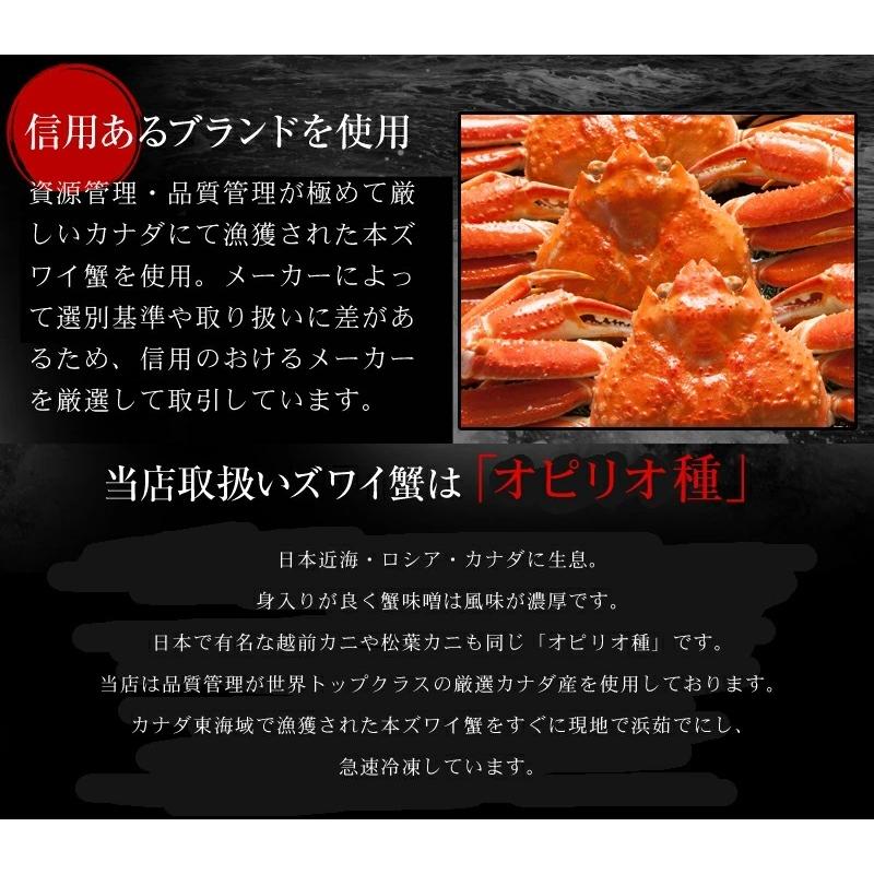  ボイル済み 本ズワイ蟹 2尾1.2kg前後  本ずわい蟹 本ズワイ蟹 本ずわい 本ズワイ かに カニ 蟹 ボイル