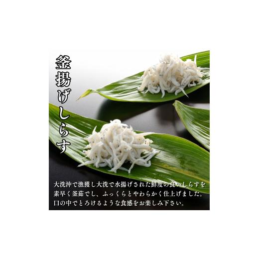 ふるさと納税 茨城県 大洗町 釜揚げしらす 6パック 160g × 6パック 約 1kg 天然 大洗 しらす シラス 魚 さかな 離乳食