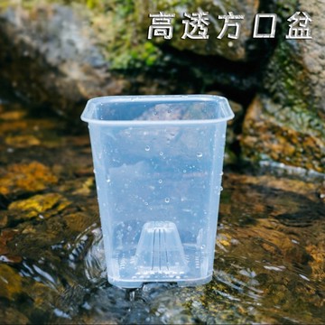 新款｜高透方口盆｜斑啾植選｜觀葉植物｜青山盆｜控根盆｜多肉植物｜龜背芋｜觀音蓮｜方盆｜呼吸盆｜龜背芋｜室內植物｜盆栽
