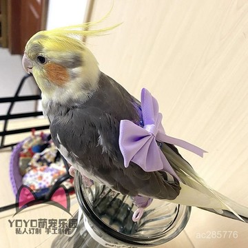 【店鋪熱銷】YOYO定製鳥用衣服尿不濕立體可調節鸚鵡漢服飛行服衣服屎兜遛鳥衣