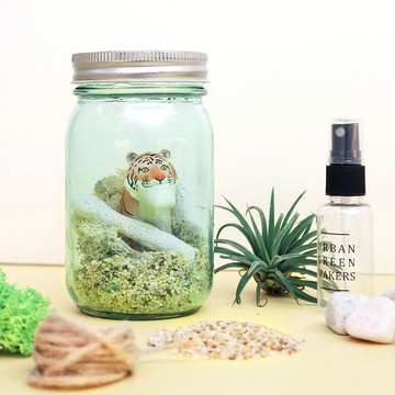 【讓我自己挑選】03復古透藍圓瓶 / 桌上型微造景盆栽 簡易版