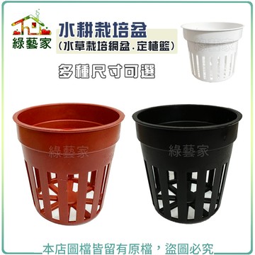 【綠藝家】水耕栽培網盆 (水草栽培盆.定植籃.水草盆.水耕盆.水耕)多種顏色 多種規格可選