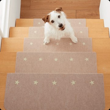 日本SANKO 日本製夜光止滑樓梯黏貼式地墊15入組55x22cm - 綠色