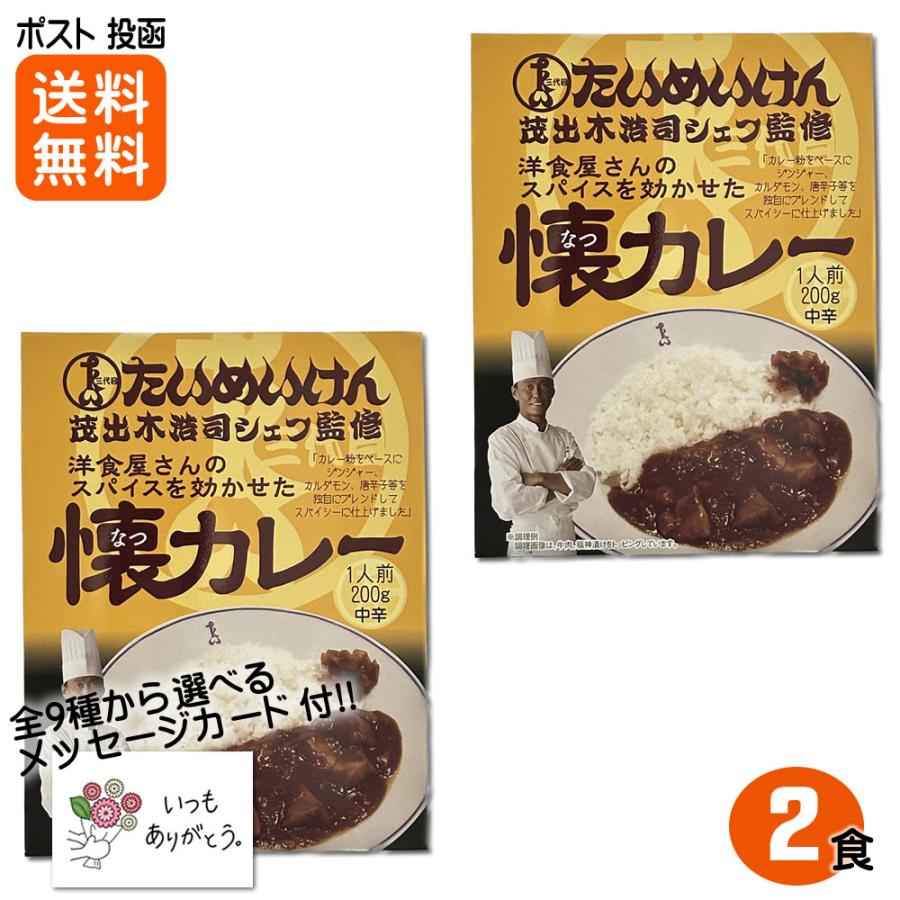 三代目 たいめいけん 茂出木シェフ監修 洋食屋さんのスパイスを効かせた懐カレー 200g×2食