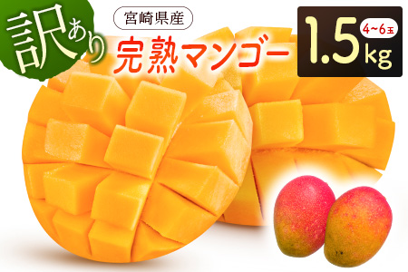 ＜数量限定＞宮崎県産 訳ありマンゴー（3～5玉）約1.5kg