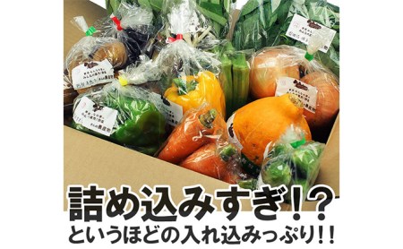 連続12ヶ月お届け！岩沼みんなの家の「みんなの直売！野菜」セット詰め合わせ