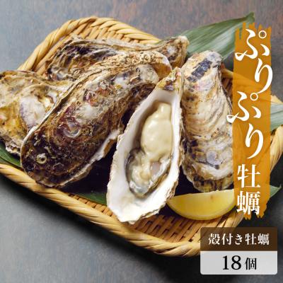 ふるさと納税 石巻市 殻付き牡蠣 18個(生食用)