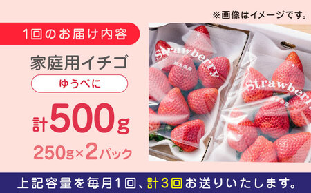 熊本県産 ゆうべに いちご  セット 250g×2P 農園直送 産地直送 熊本県産いちご 山都町産いちご 完熟いちご いちご狩り 家庭用いちご 贅沢いちご いちご 甘いいちご[YBI045]