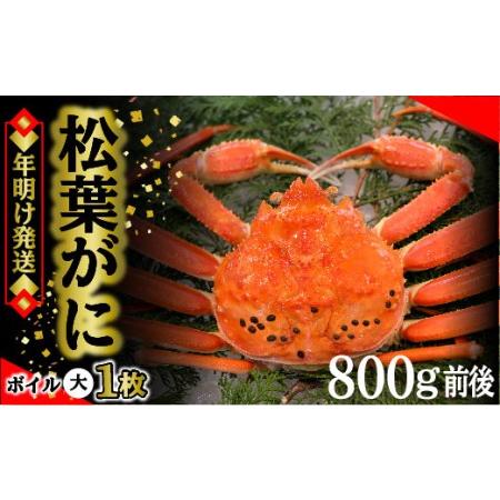 ふるさと納税 2.松葉ガニ（ボイル）大1枚　約800ｇ※着日指定不可※北海道、沖縄、一部離島への配送不可《ずわいがに.. 鳥取県琴浦町