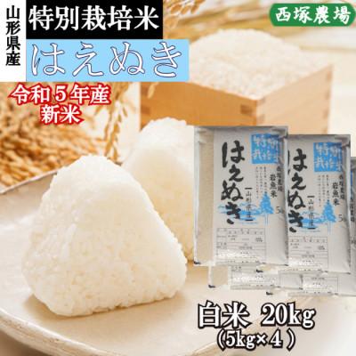 ふるさと納税 最上町 特別栽培米はえぬき　白米 20kg　山形県産　西塚農場のお米