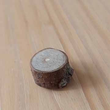 樟樹擴香木汝磁鐵 (帶節點)