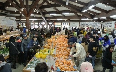 湯の花　はるみ10kg箱セット