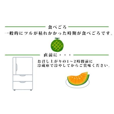 ふるさと納税 〈桐箱入〉ふらの山部の絶品メロン『鳳凰』3L（2〜2.5kg）×2玉（坂口農産） 北海道富良野市