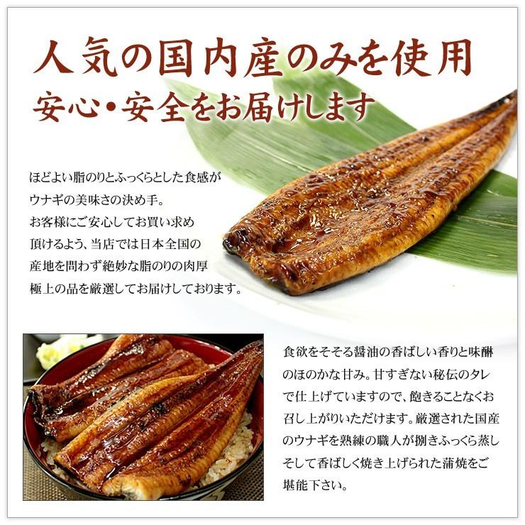 うなぎ ウナギ 国産 蒲焼き1kg 訳あり メガ盛り《eel-ue3》〈ue1〉yd5[[訳ありウナギ蒲焼き500g-2p]