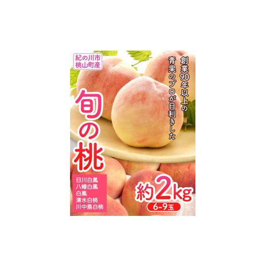 ふるさと納税 和歌山県 紀の川市 桃 約2kg（6-9玉） 岸武青果株式会社《2024年6月末頃-8月末頃より順次出荷》 和歌山県 紀の川市 桃山町 もも モ…