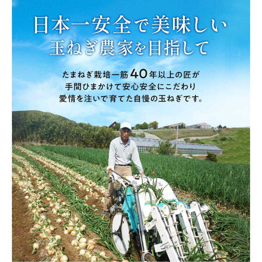 玉ねぎ 3kg 訳あり 淡路島 増量あり Sサイズ〜2Lサイズお任せ 今井ファ−ム たまねぎ タマネギ 玉葱 ＃訳ありたまねぎ3kg＃