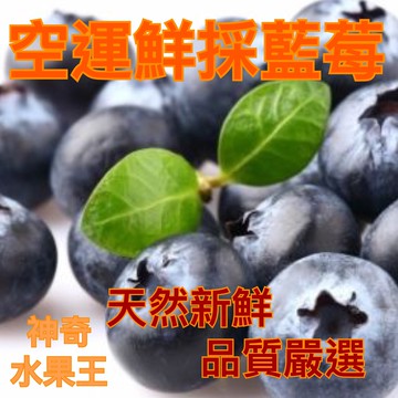 鮮採空運藍莓 原裝6入/整箱12入/6入精緻禮盒【皇家果物】低溫免運