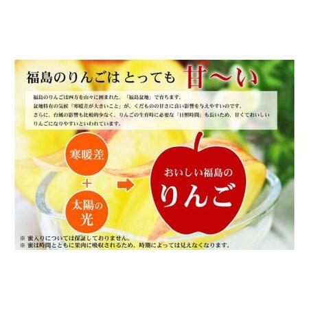 ふるさと納税 No.2419菅野房吉商店　ふくしまのサンふじりんご　5kg 福島県福島市